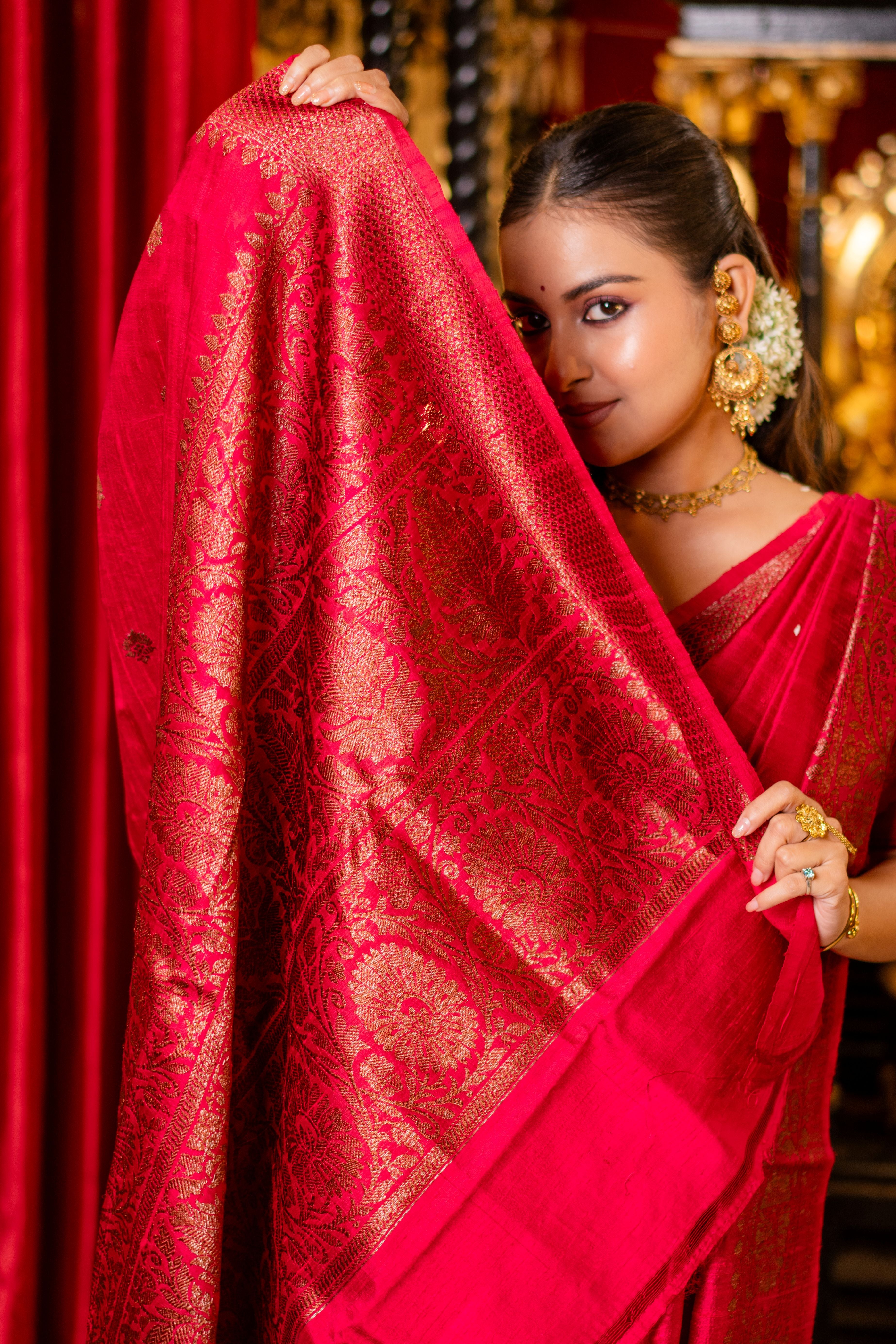 Banarasi Raw Silk Saree
