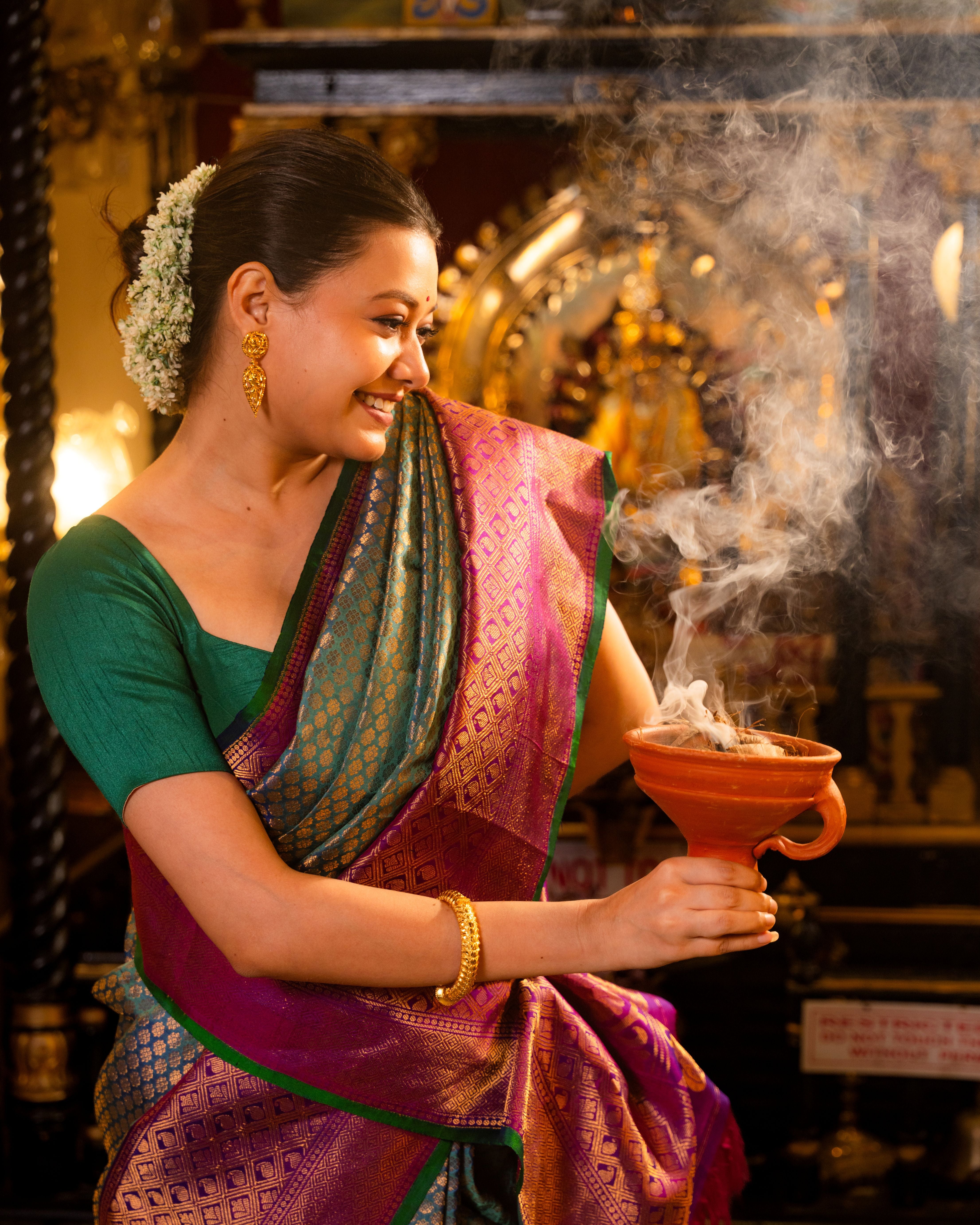 The Nizam's Treasure – Pure Silk Handwoven Gadwal Saree