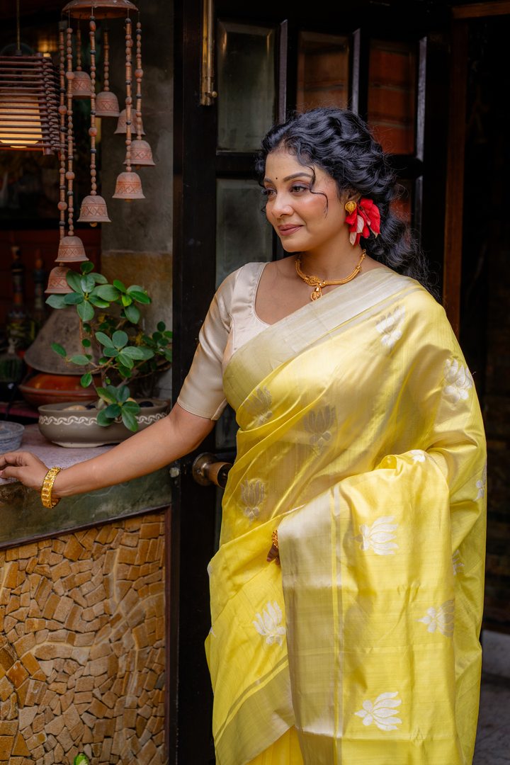Canary Lotus: A Ray of Sunshine in Sheer Silk